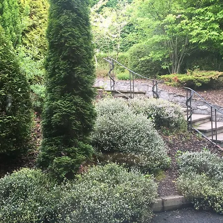 Four Seasons & Leisure Club 4* Monaghan